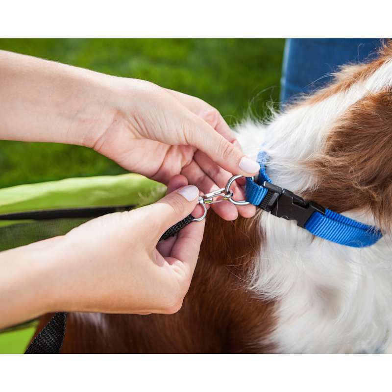 Rascal pet trailer discount