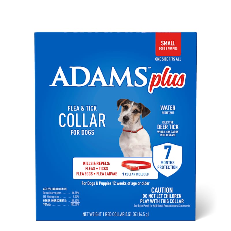 Small dog flea collar top