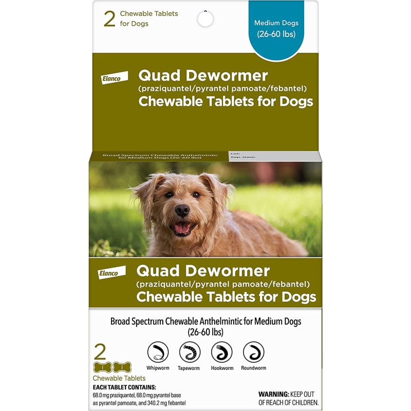 Broad Spectrum Over The Counter Dog Wormer BestLife4Pets Worm