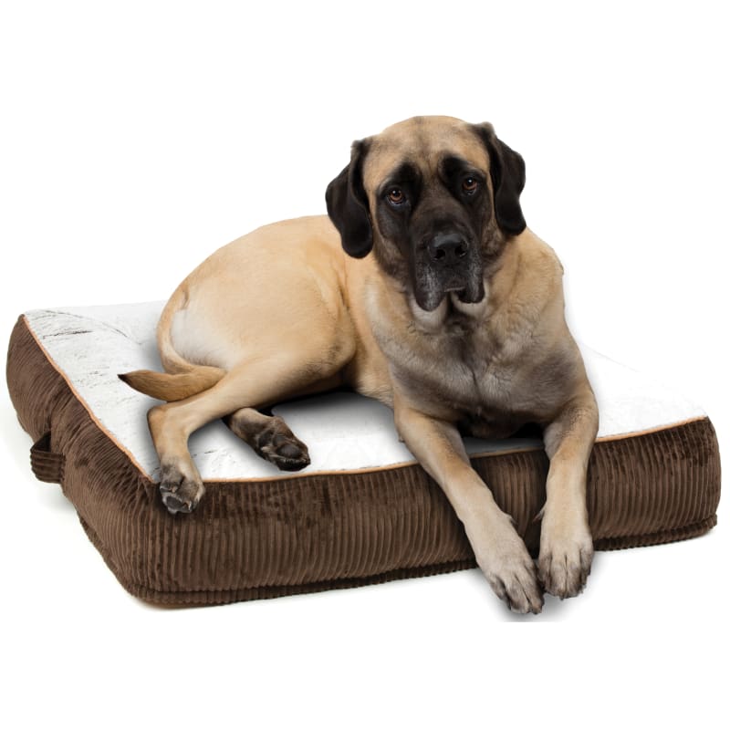 Fleet farm dog beds new arrivals