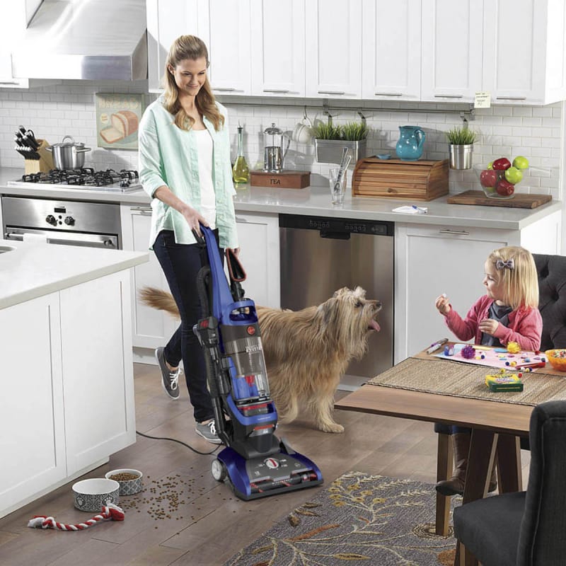 Hoover whole house rewind filter hot sale