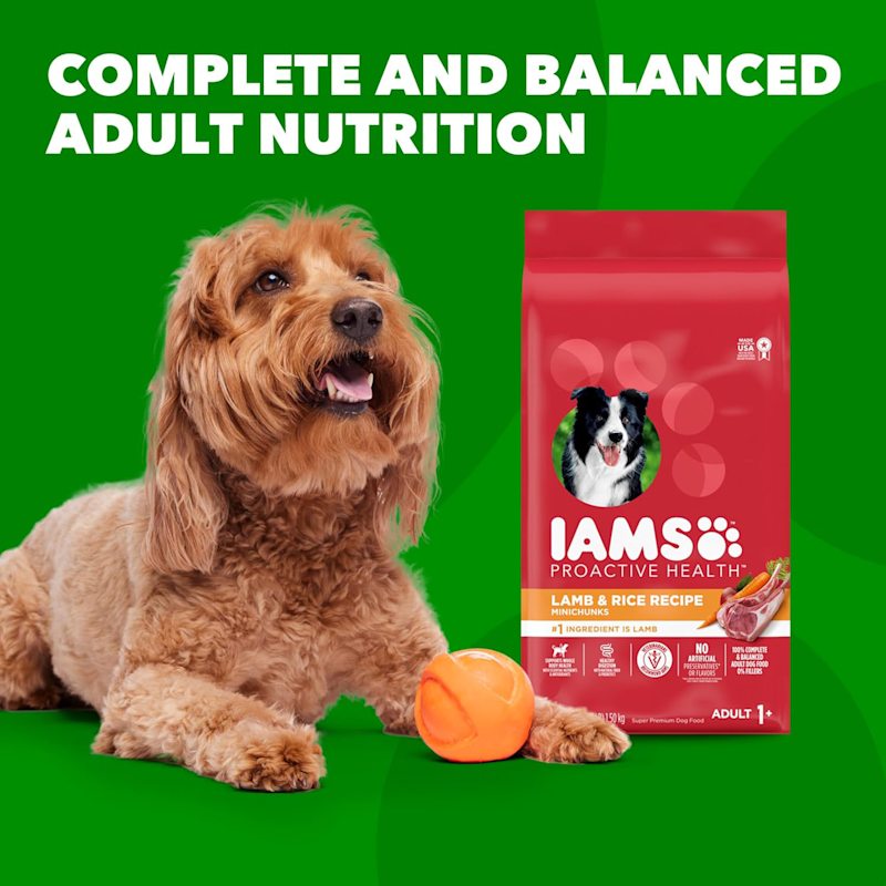 Iams dog food sensitive skin store