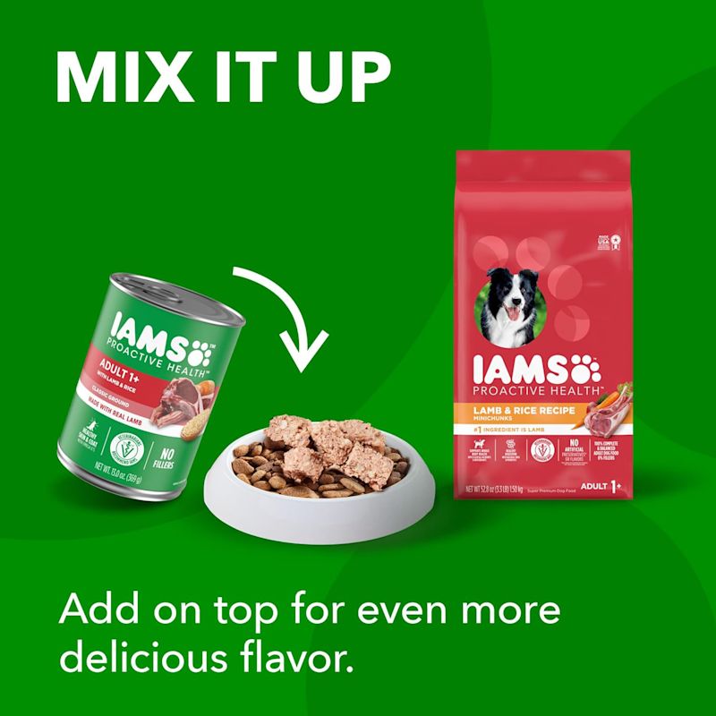 Proactive Health Adult Sensitive Skin Stomach Lamb Rice Dry Dog Food by IAMS at