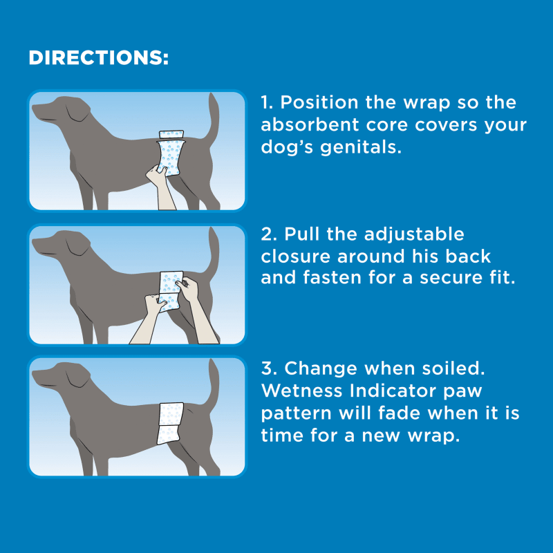 Wee wee male dog wraps cheap