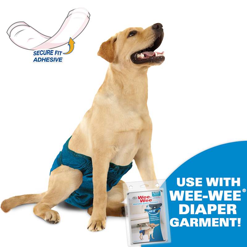 Wee wee dog diapers hotsell