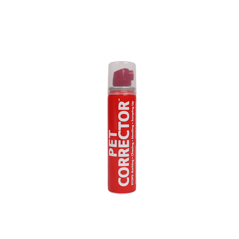 Dog correction spray 2025
