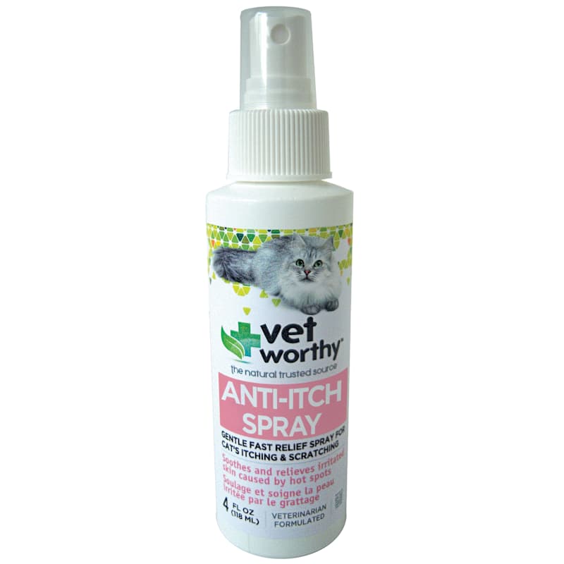 Homemade anti itch spray for cats 2025