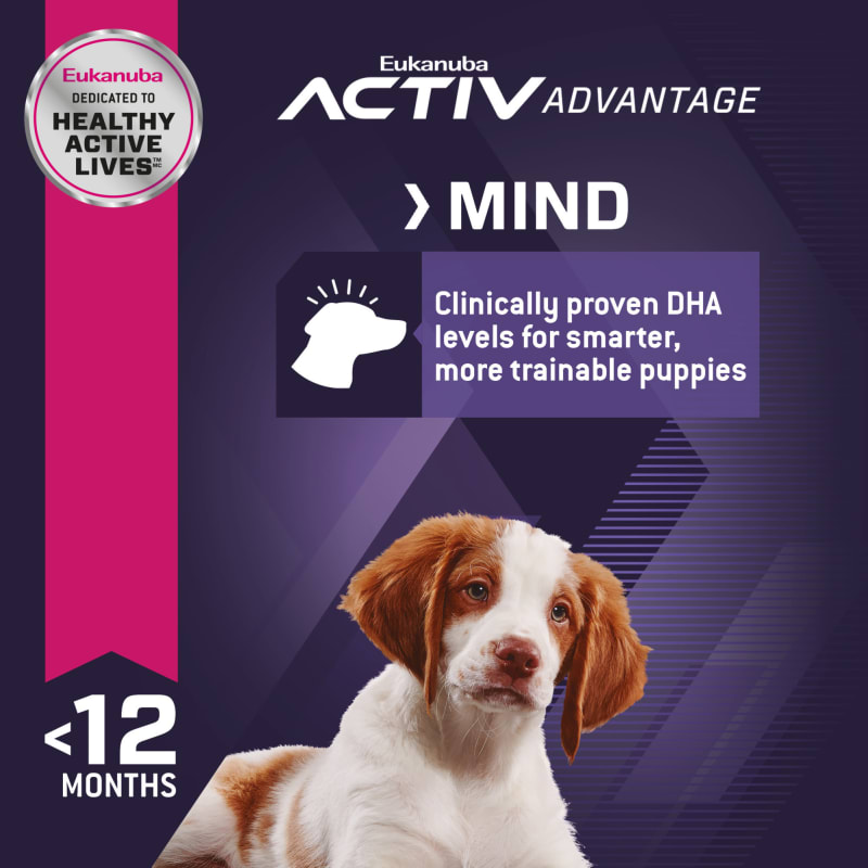 Eukanuba early advantage online