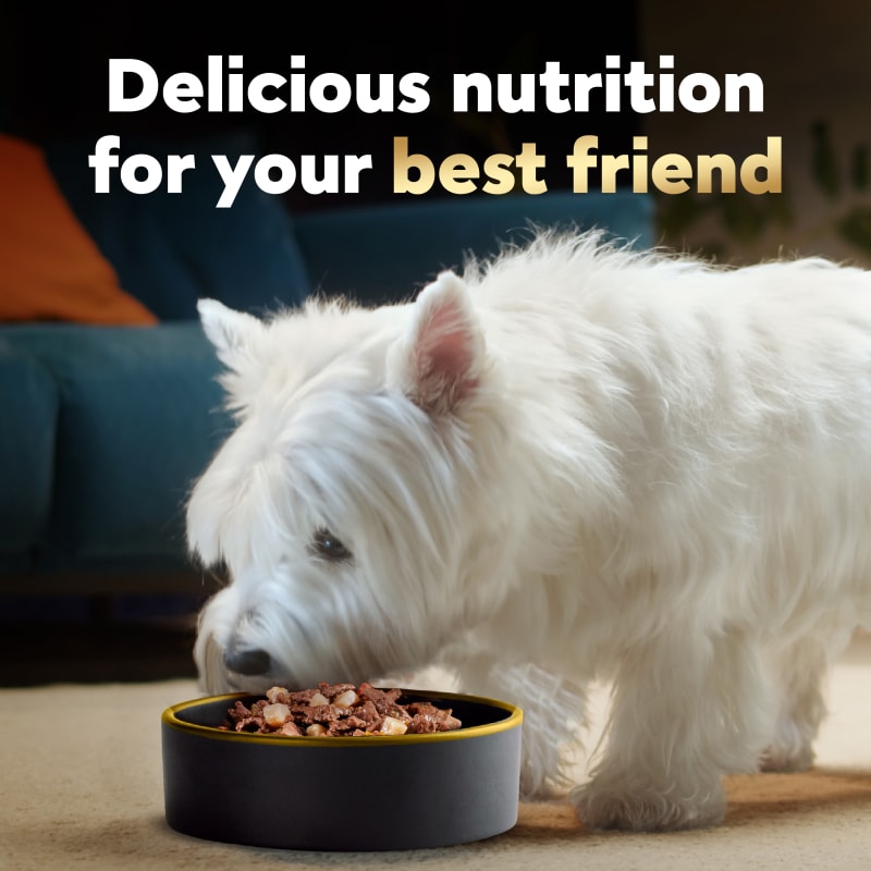 Cesar dog food home delights on sale