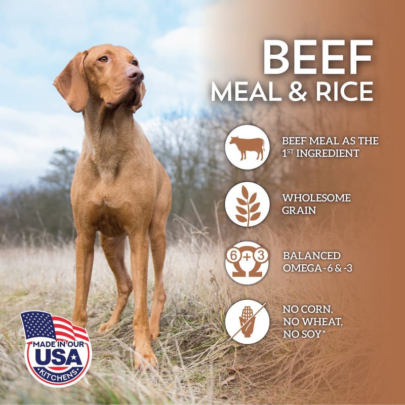 Vizsla dog sale food