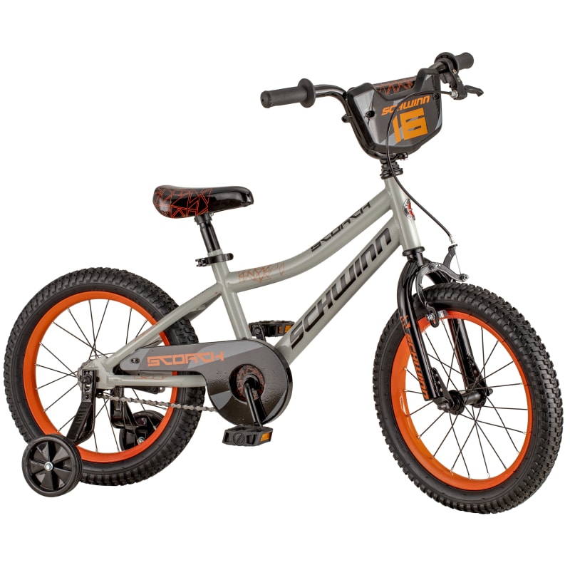 Schwinn smart start online 16