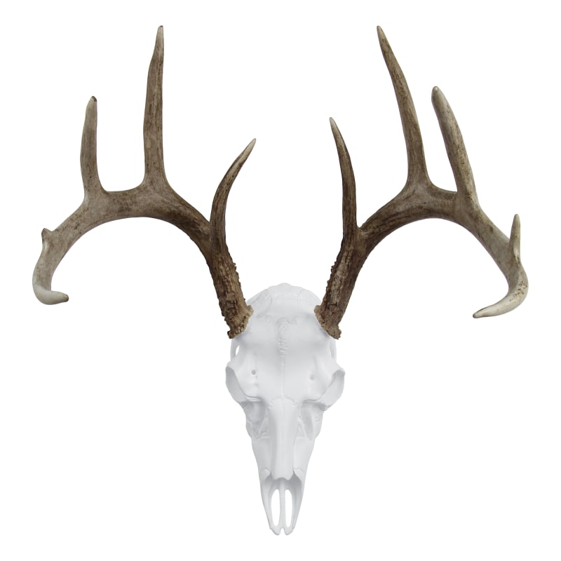 European deer cheap mount kit
