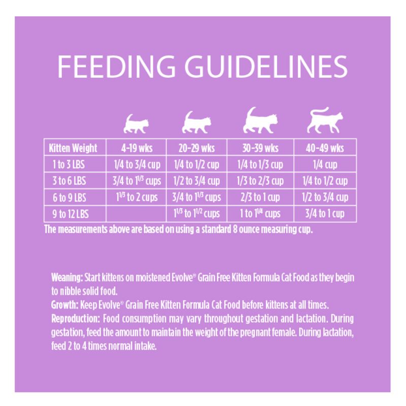 Evolve grain free cat food clearance