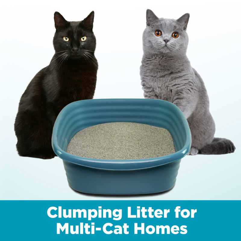 Arm & hammer cloud control clumping cat litter sale