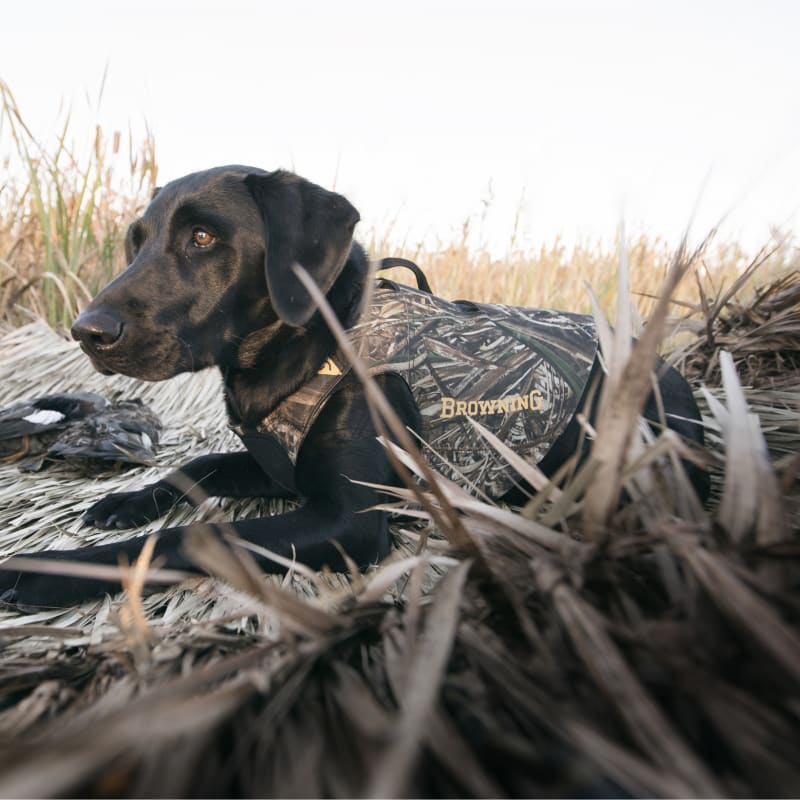 Camo neoprene dog vest store