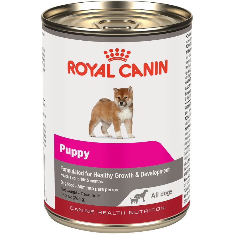 Healthy wet dog food for small dogs outlet
