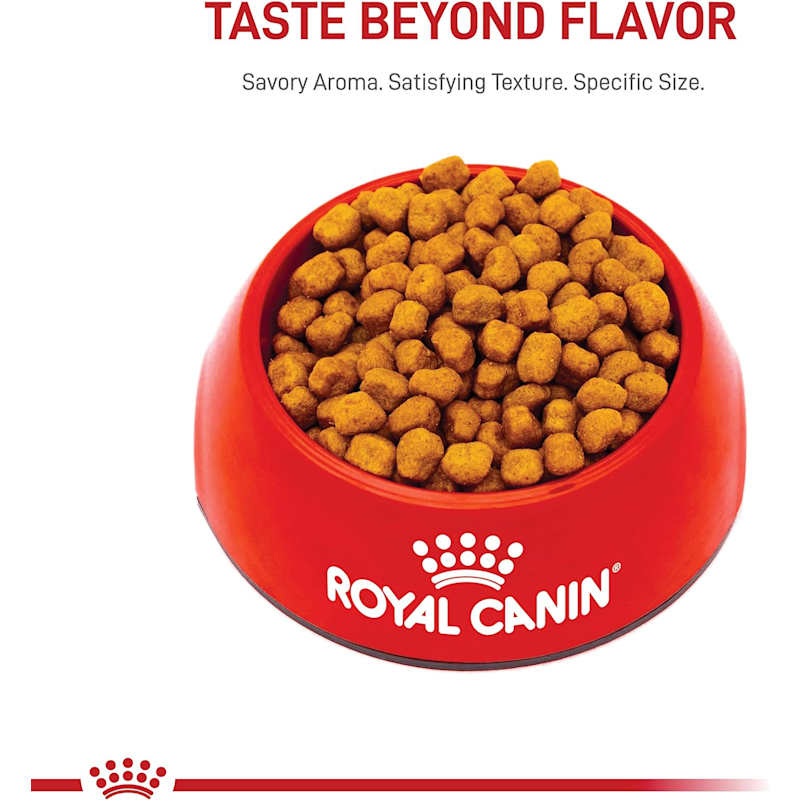 Shih Tzu Adult Dry Dog Food 11 lbs by Royal Canin at Fleet Farm