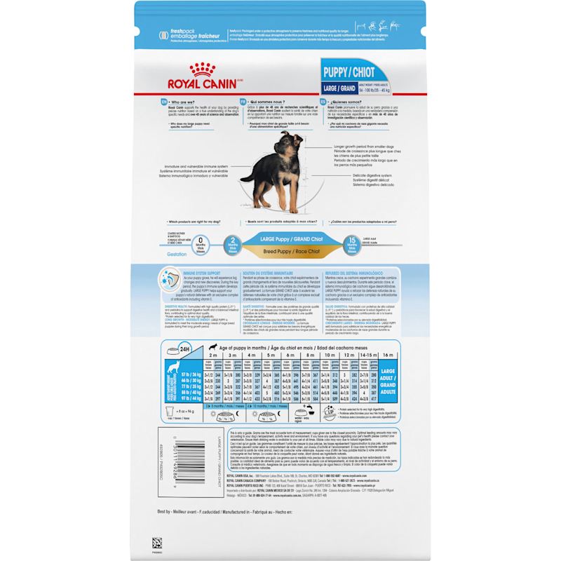 Large breed royal canin on sale