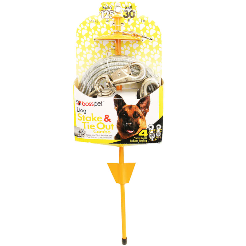 Small dog hotsell tie out stake