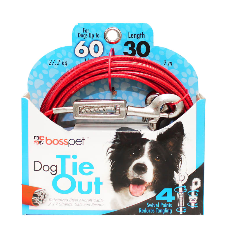 Safe dog tie out outlet