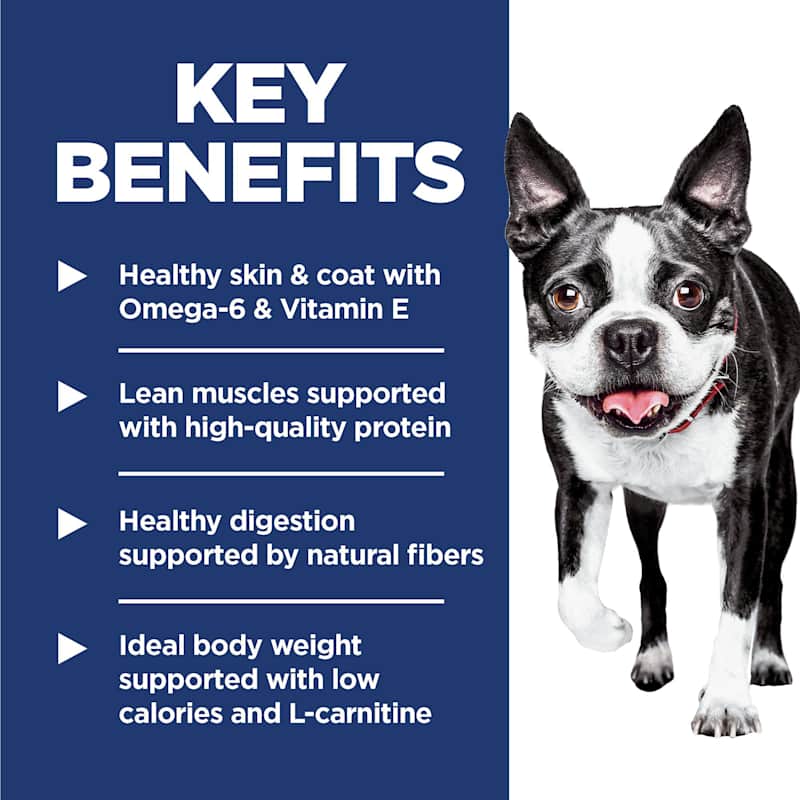 l-carnitine benefits for dogs & Cats: & Vet Advice A Beginner's Guide to L-Carnitine