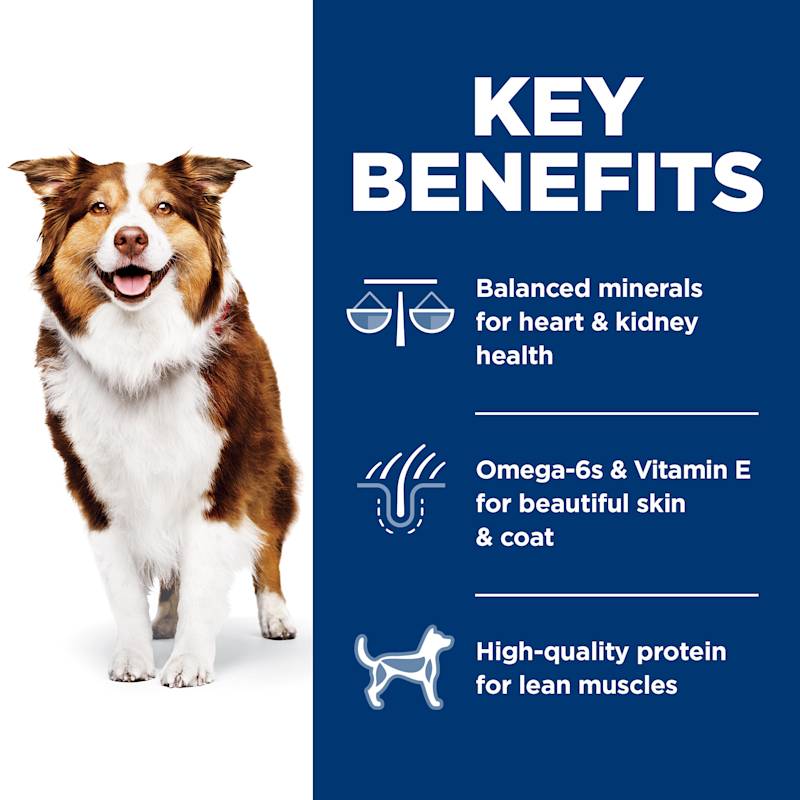 Science diet kd dry dog food online