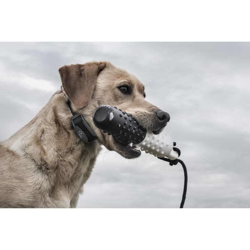 FieldTrainer 425X Remote Trainer by SportDOG Brand at Fleet Farm