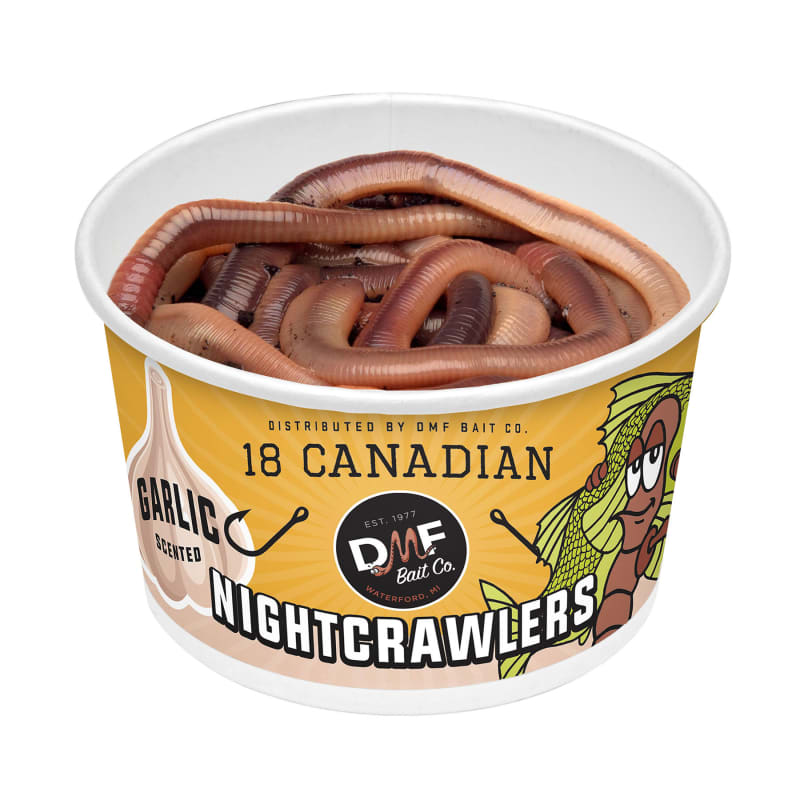 Nightcrawler bait hot sale