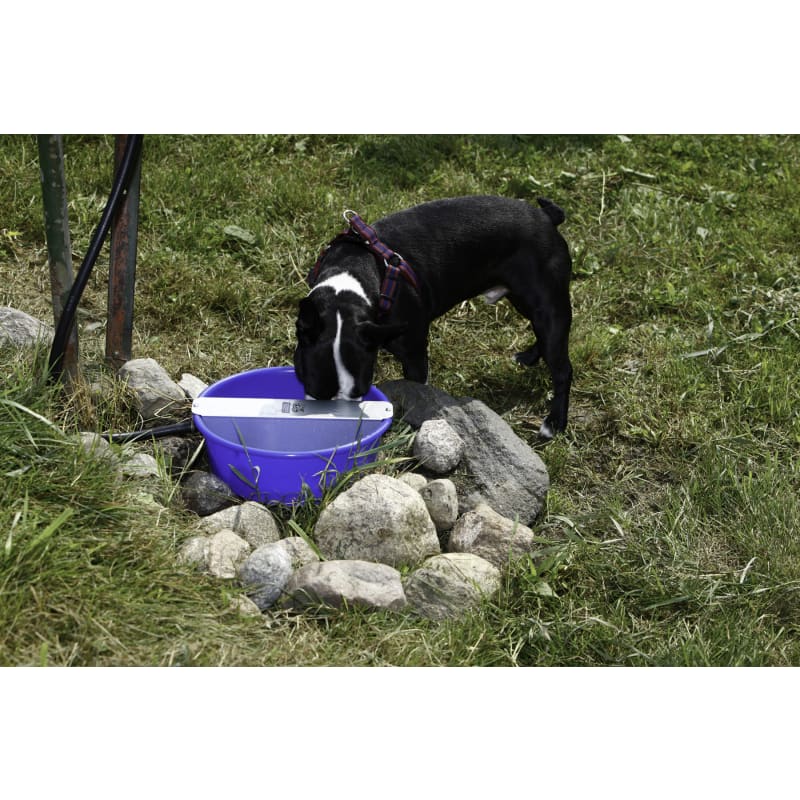 Pet lodge ever full bowl discount