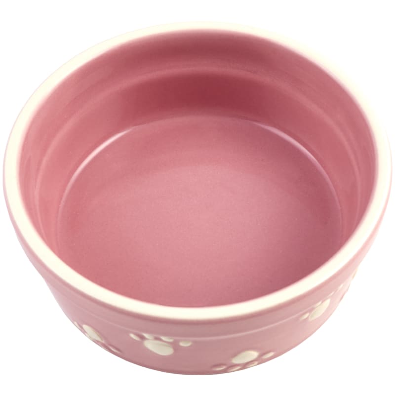 Petrageous dog bowls outlet