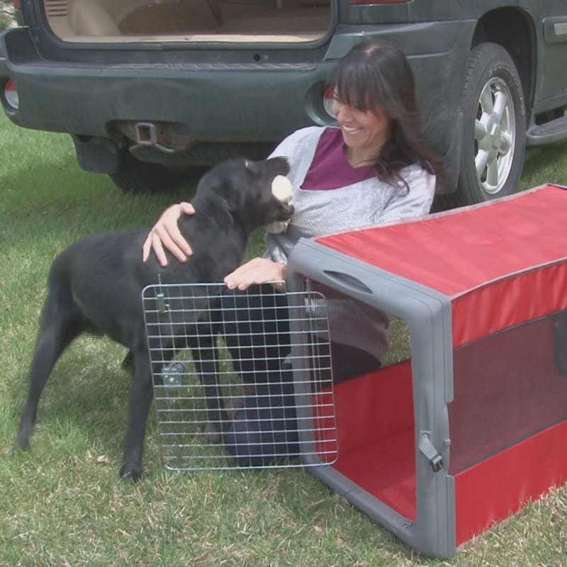 Fleet farm dog crate clearance