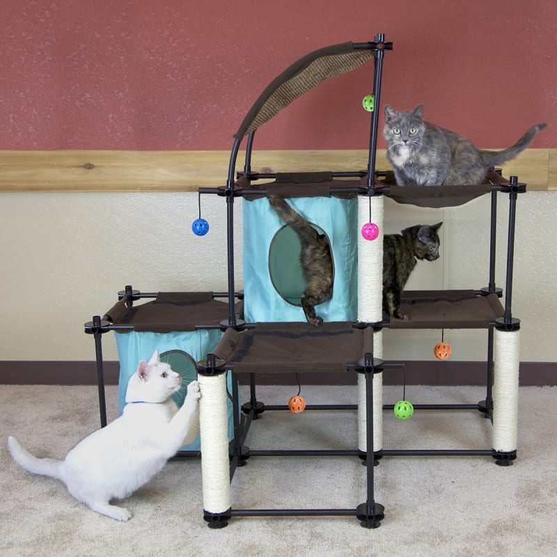 Kitty city furniture store