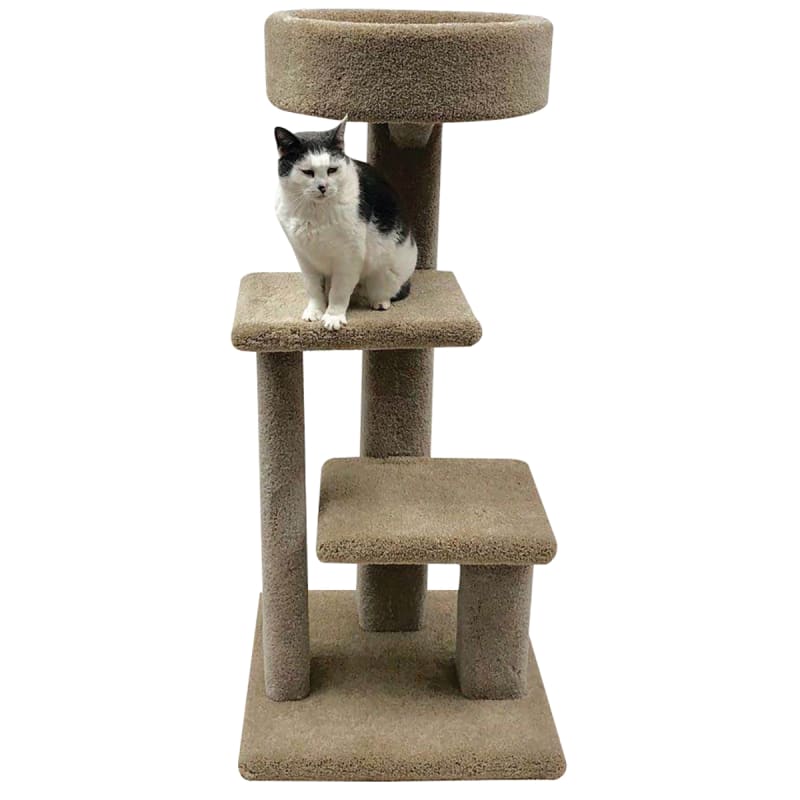 3 Level Kitty Loft Cat Furniture by Beatrise Pet Products at Fleet