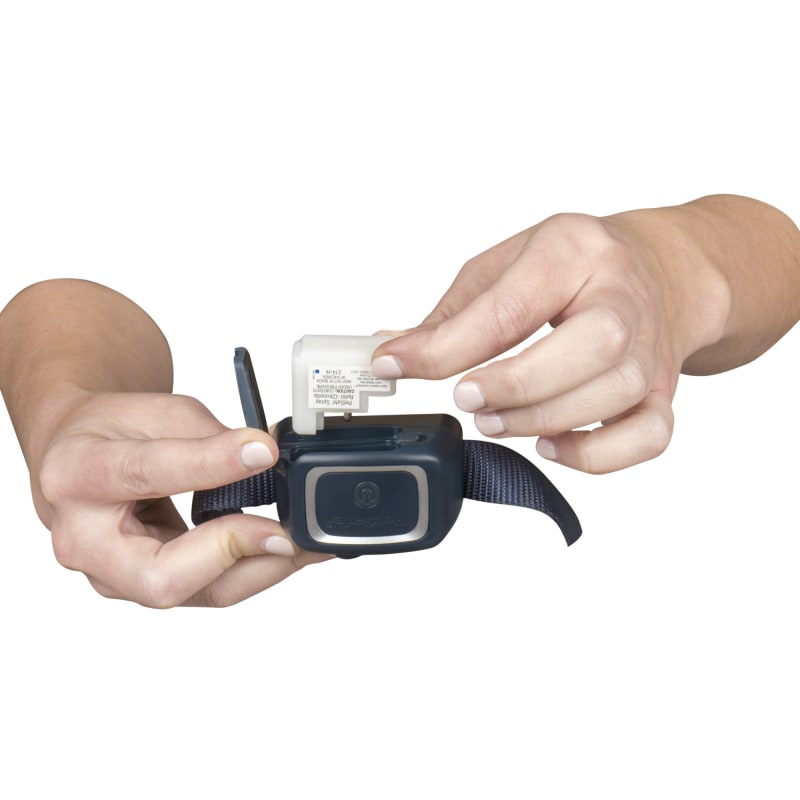 Spray Bark Control Collar by PetSafe at Fleet Farm