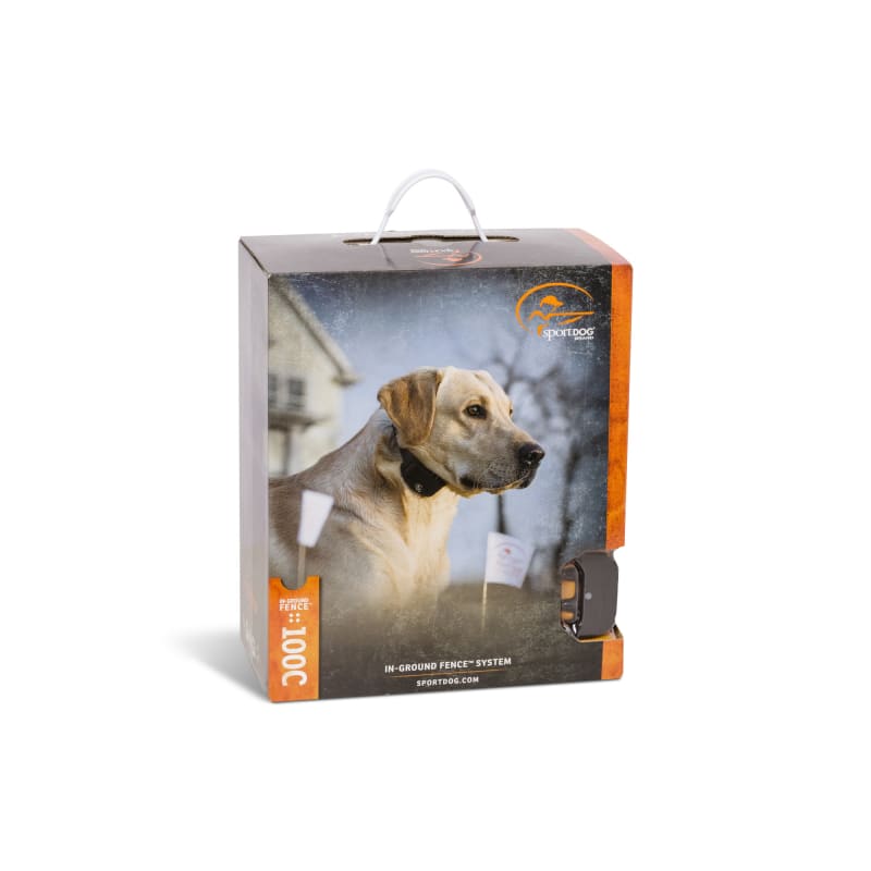 Sportdog in sale ground fence