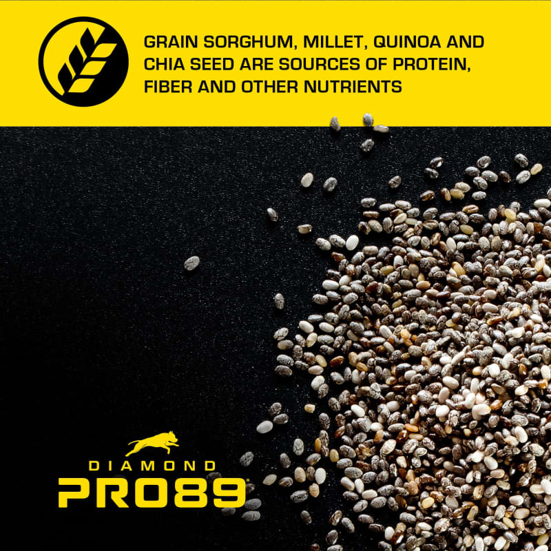 Diamond pro 89 dog food sales