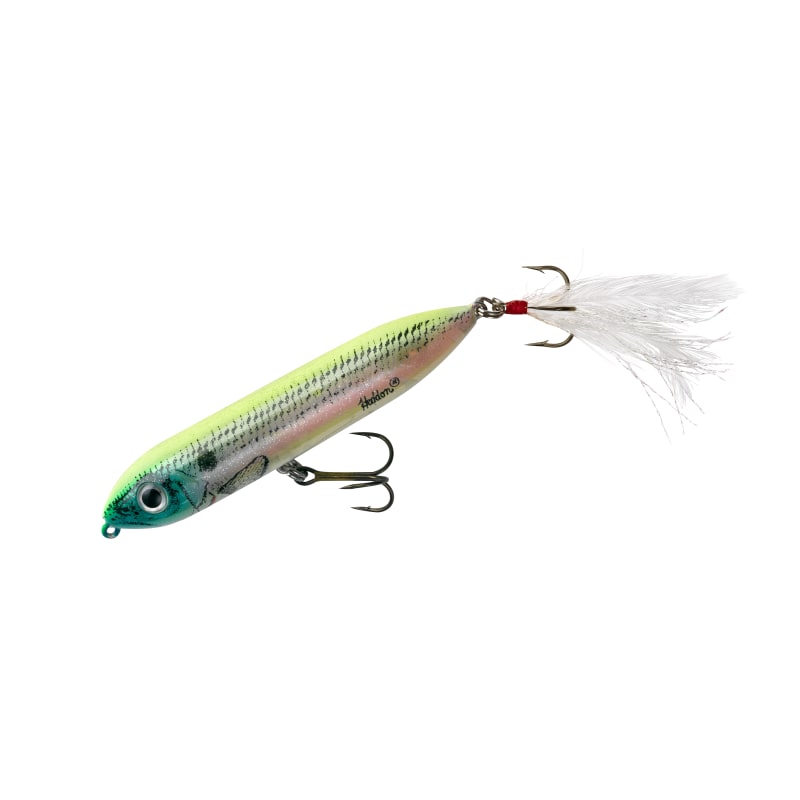  Heddon - Super Spook Baby Bass 5 inch : Sports & Outdoors