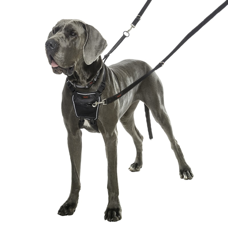 Large No-Pull Harness by Halti at Fleet Farm