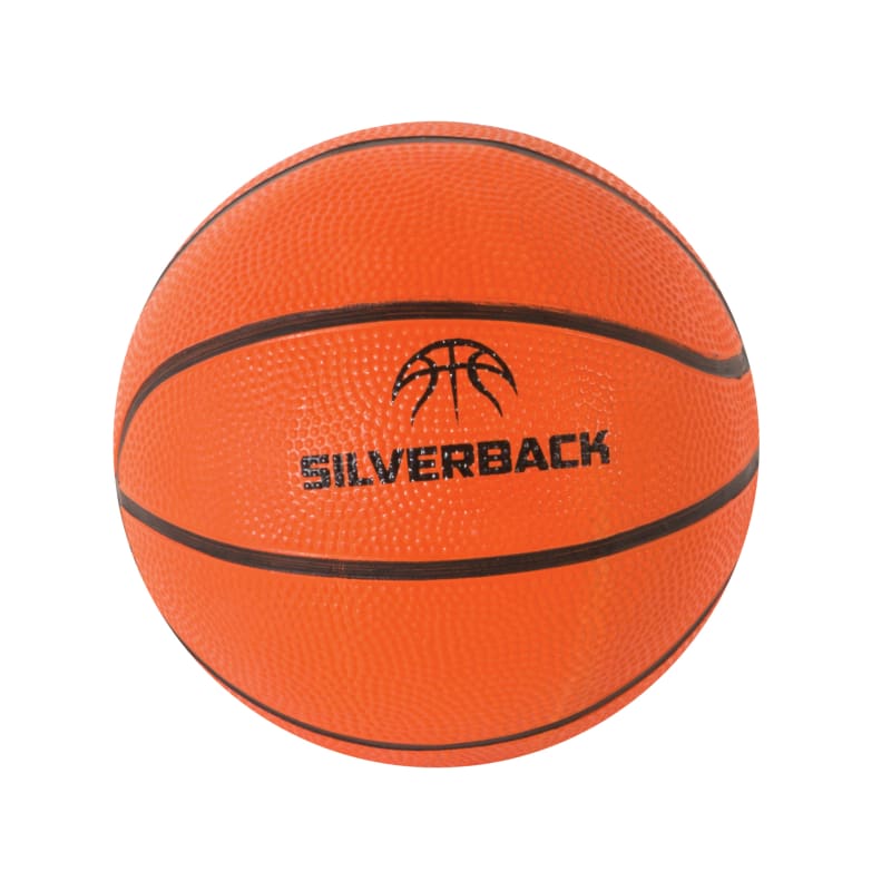 18 in Over The Door Mini Hoop by SILVERBACK at Fleet Farm