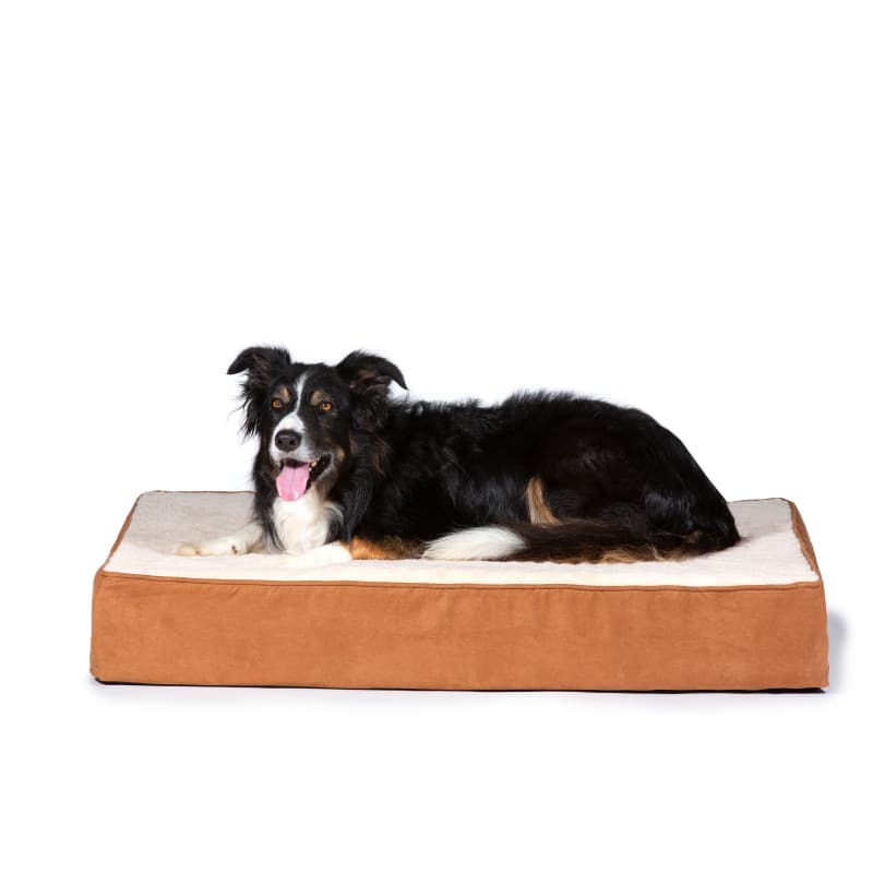 Farm and fleet dog beds discount