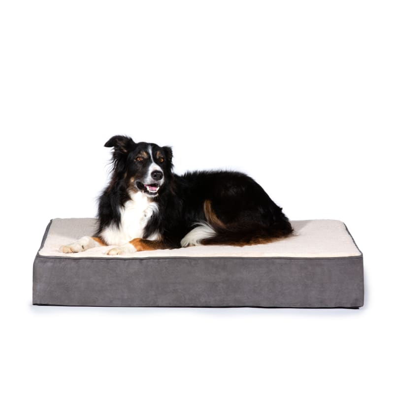Farm and fleet dog beds on sale