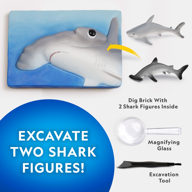 Shark Tooth Dig Kit by National Geographic at Fleet Farm