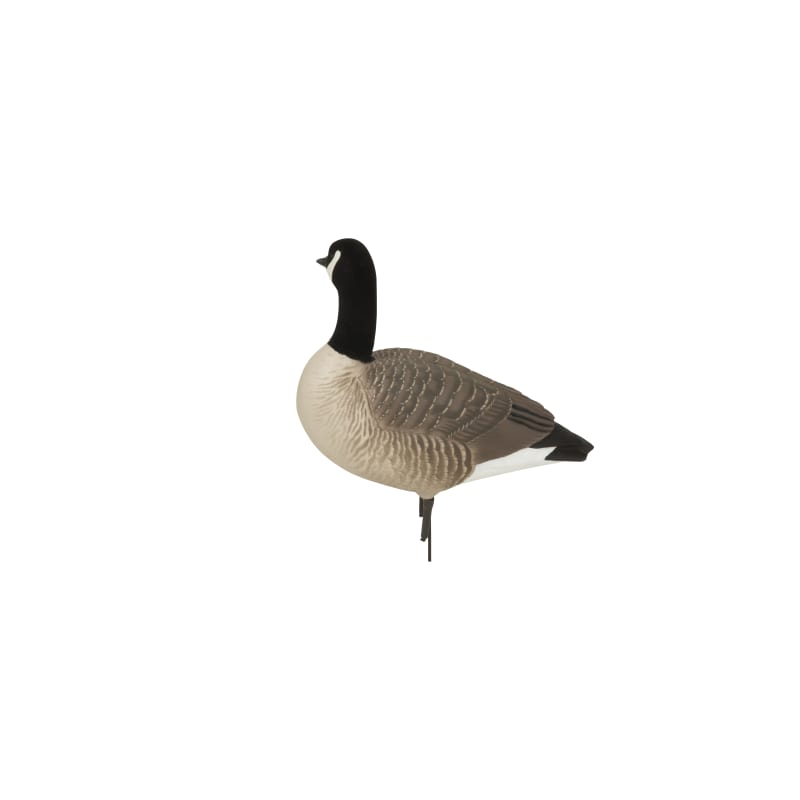 Canada Harvester Hunter Series Waterfowl Decoy pk by GHG at Fleet Farm