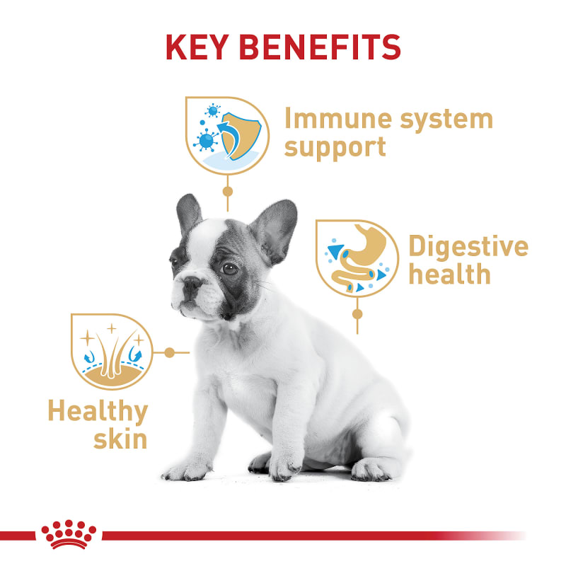 Royal canin bulldog puppy dry dog food on sale