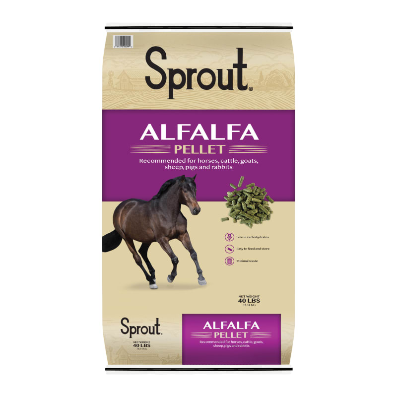 Sprout Alfalfa Pellets for Horses, Cattle, Goats, Sheep, Pigs & Rabbits, 40 lbs | by Fleet Farm