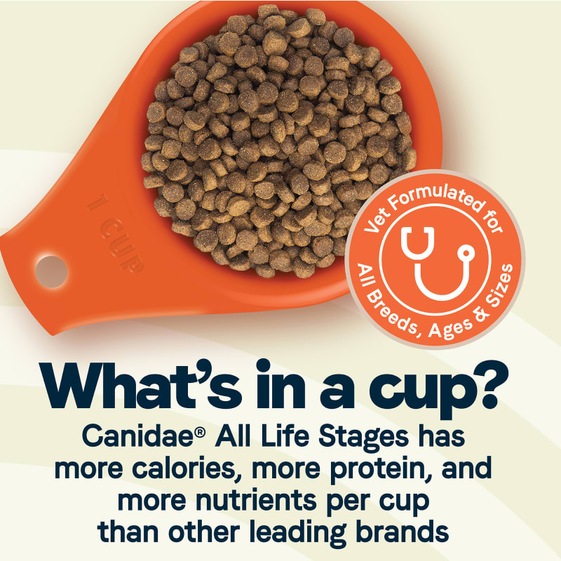 Canidae large breed all life stages shop