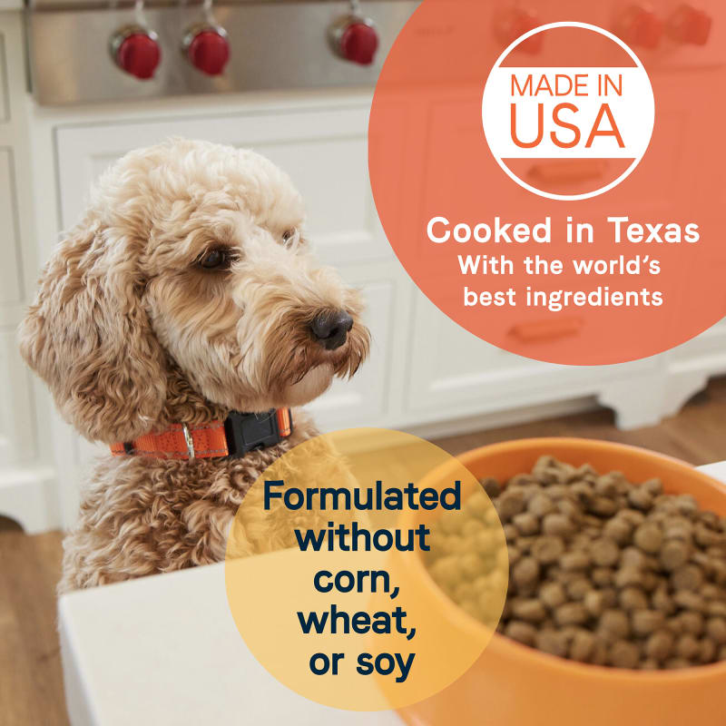 All life stages large breed dog food top