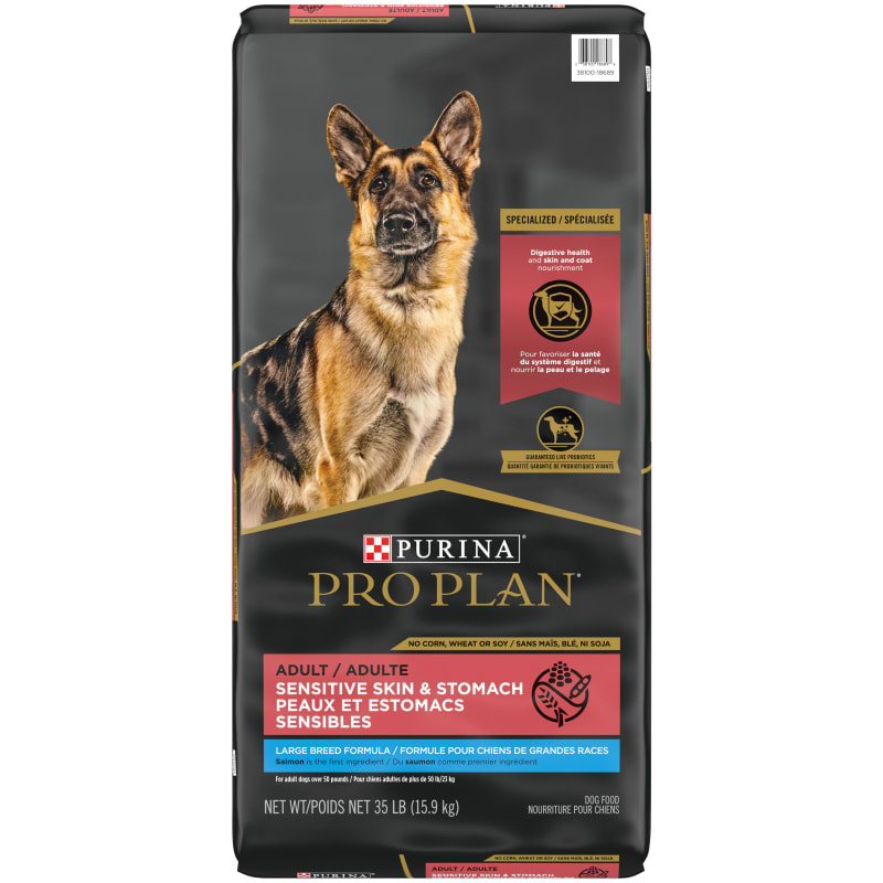Purina pro plan focus sensitive skin & stomach salmon & rice formula adult dry dog food sales