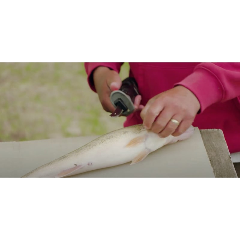 NEW RAPALA® R12 HEAVY-DUTY LITHIUM FILLET KNIFE COMBO - FILLET FAST AND  CLEAN. 