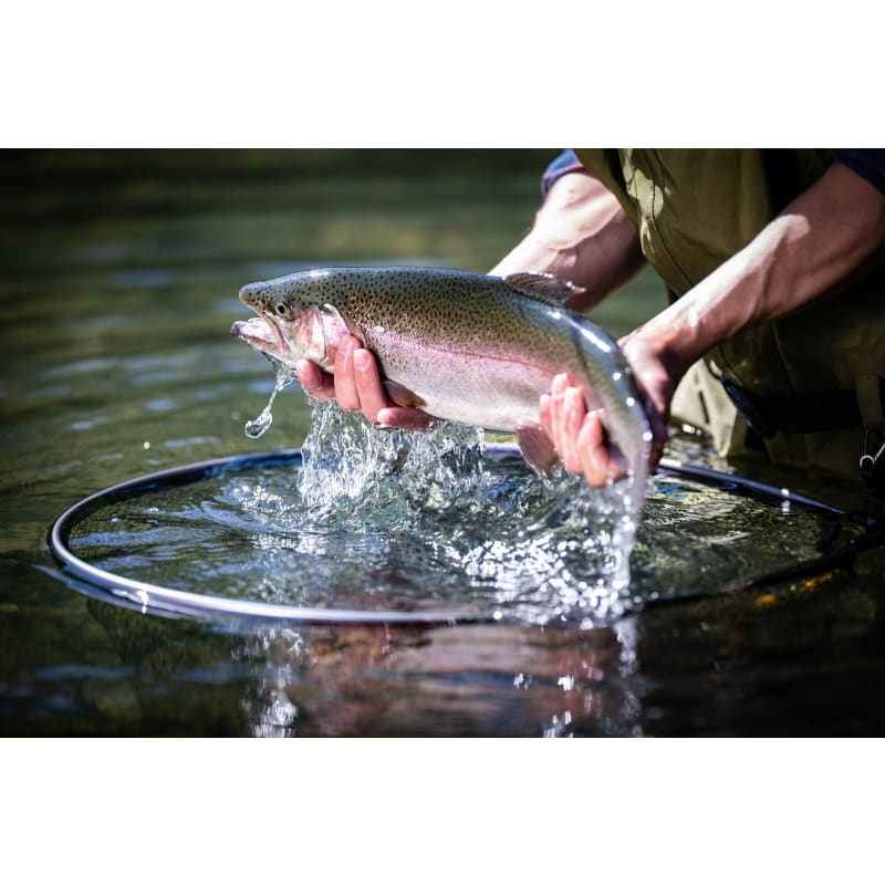 13 in x 18 in Fly Floating Trout Net Teardrop